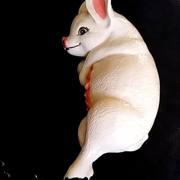 Pig - Picture 3 of 4